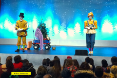 Sapin-bavard-2_2018